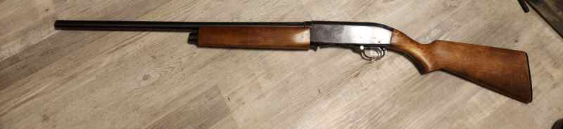 Sears and Roebuck and Company model 300 12 gauge 