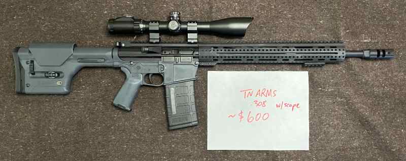 TN Arms Co 308 AR-10