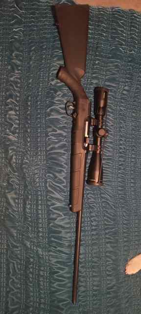 Savage A17 17 hmr