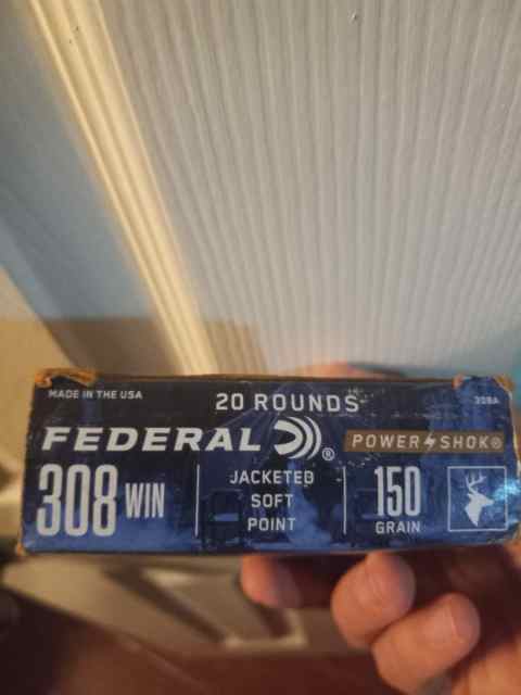 308 ammo fs