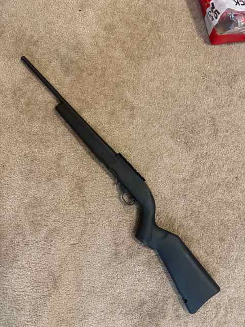 Ruger 10/22