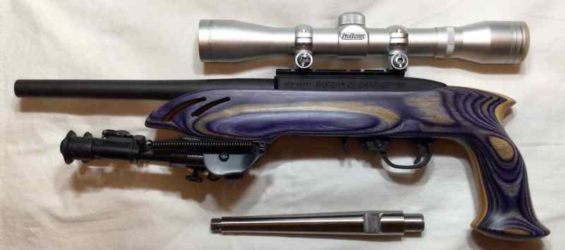 RUGER 22 CHARGER