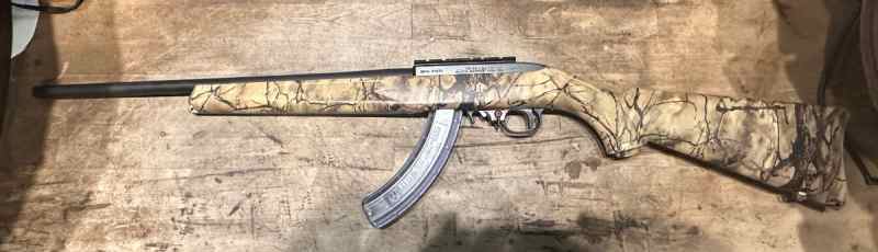 Ruger 10/22 with extra