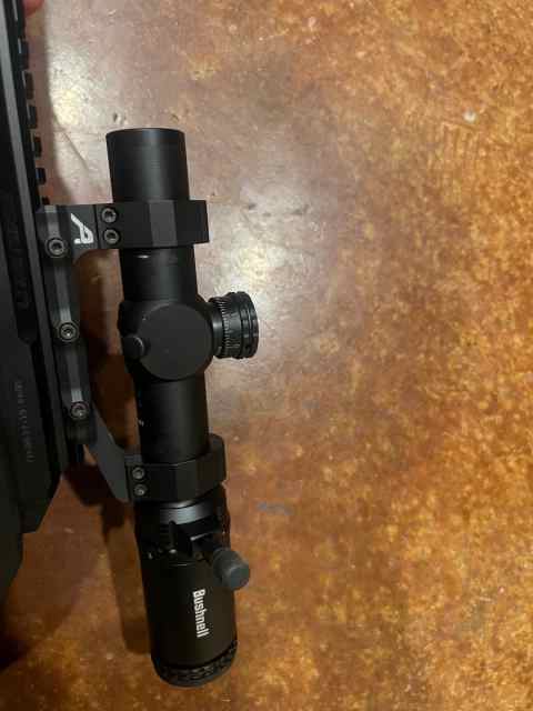 Aero Precision Mount +Bushnell LPVO 