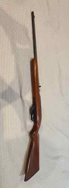 Winchester 77 22lr