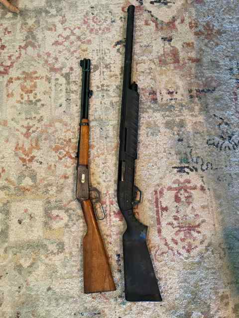 Winchester 94 30-30  and Remington 887 12 gauge 