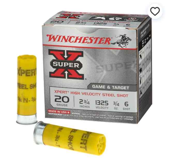 Winchester 20ga steel.JPG