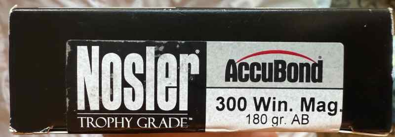300 Win Mag Ammo