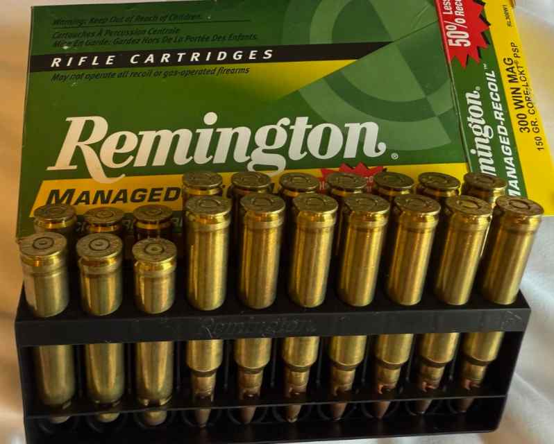Ammo8.jpg