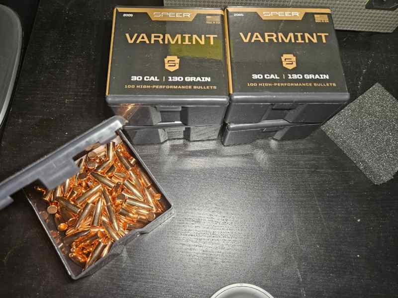 Varmint Hollow Point Bullet .308 130 Grain (500)