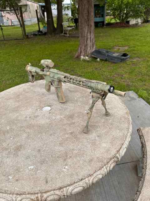 Custom Camo ARP 15 16” build