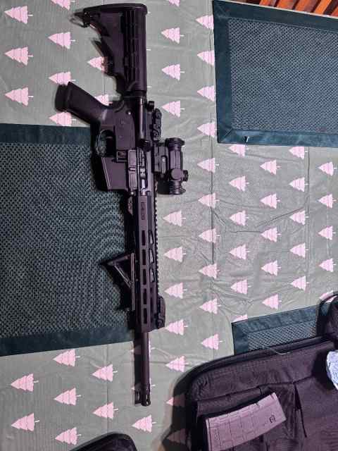 Ruger 556 AR