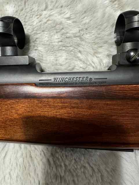 Winchester 70 .243WSSM