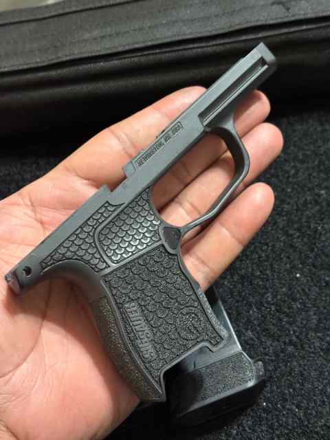 GrayGuns P365 frame w/ 3 mags &amp; oem 365 module