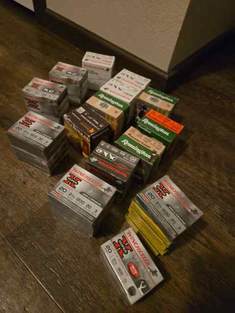 20 gaige ammo 