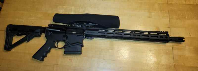 Ruger SFAR ar10 in 308 Winchester