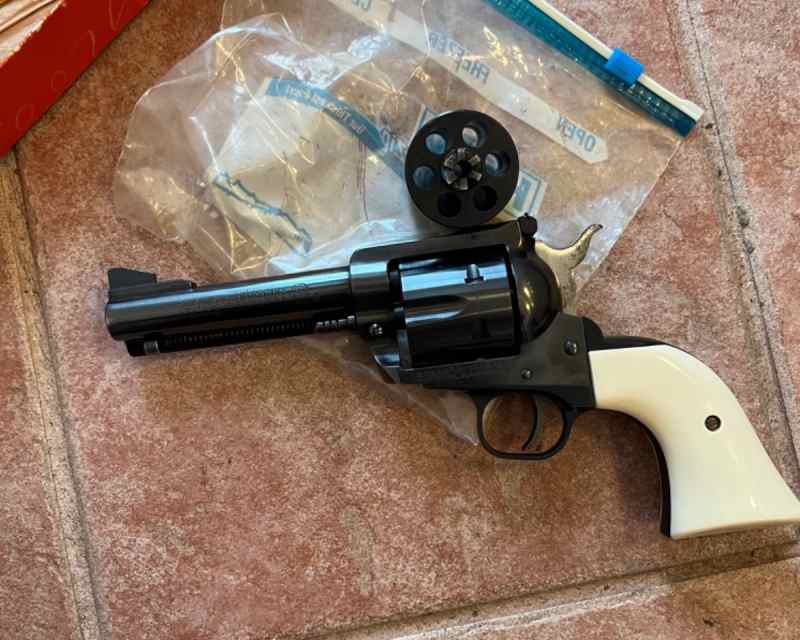 Ruger Blackhawk Revolver-1.jpeg
