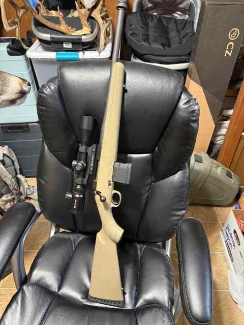 Ruger American ranch 300 blk