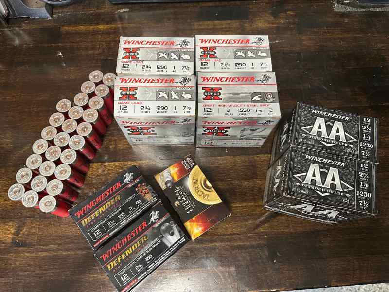 12 gauge shotgun shells 