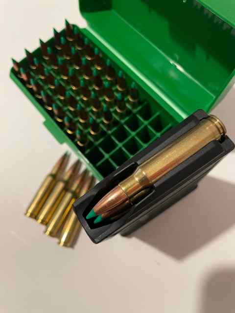 Federal .308 Win w/ Nosler Ballistic Tip