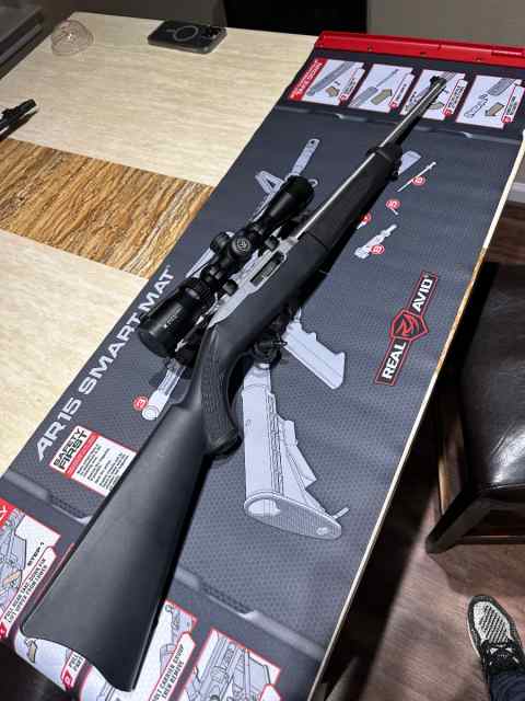 Ruger 10/22 Takedown with Vortex