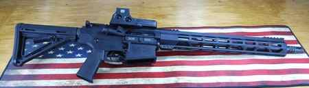 USED- Diamondback Db10-308Win - 16"-w/EOTech Optic