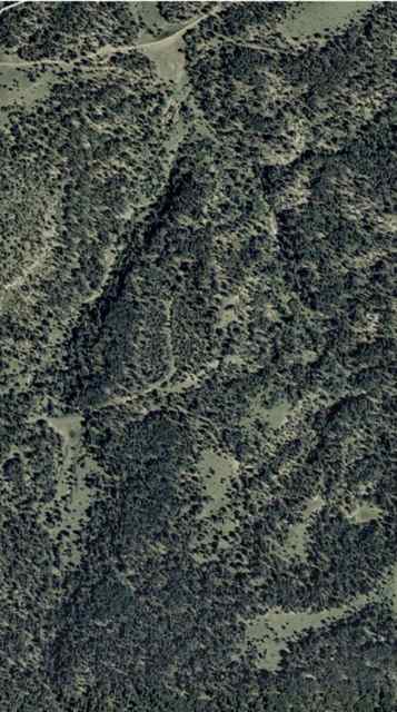 MP-satellitepicture-338ac copy.jpg