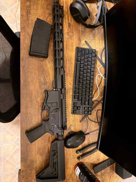 Ar 10 Ruger sfar 16 308