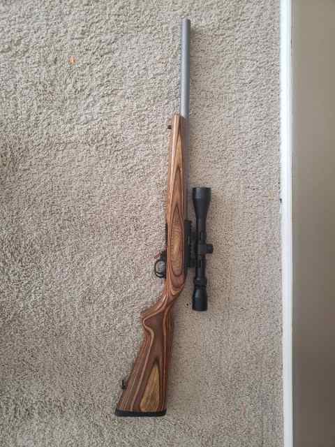 Ruger 10/22