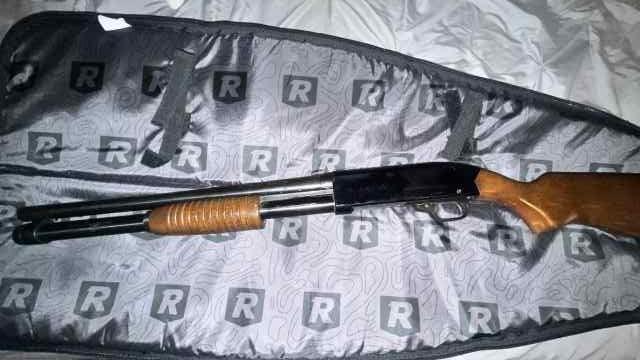 12 Gauge 