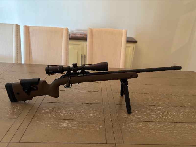 Ruger American Long-Range Target 22LR 