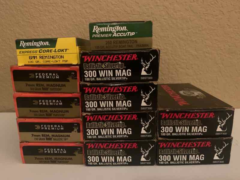 300 Win Mag / 7mm Mag