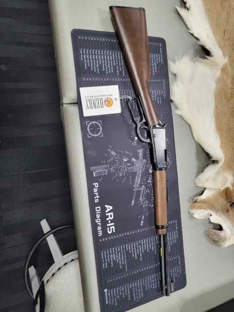 Henry H001Y .22LR