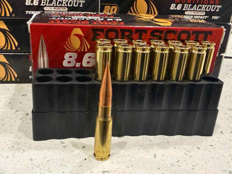 8.6BLK - Fort Smith 285gr TUI Subsonic - 234 rds