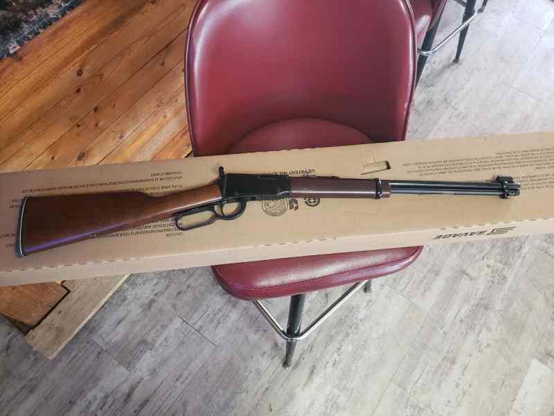 Henry 22 lever action 