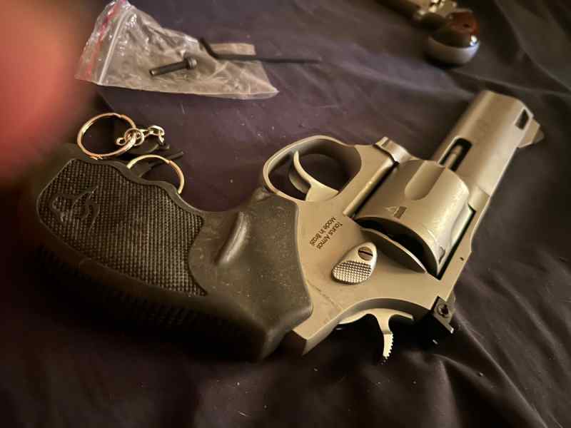 Ruger .450 bushmaster 