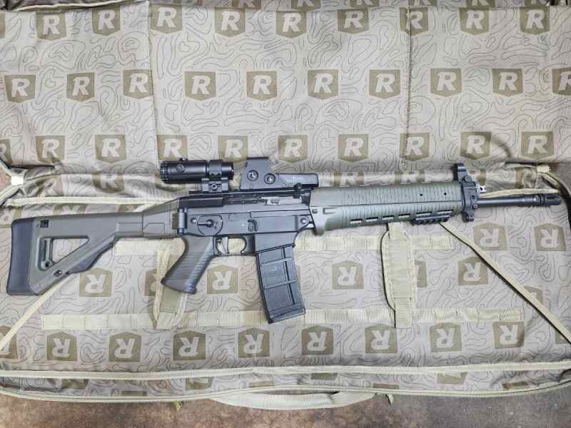 Sig Sauer 556 Classic w/Folding Stock