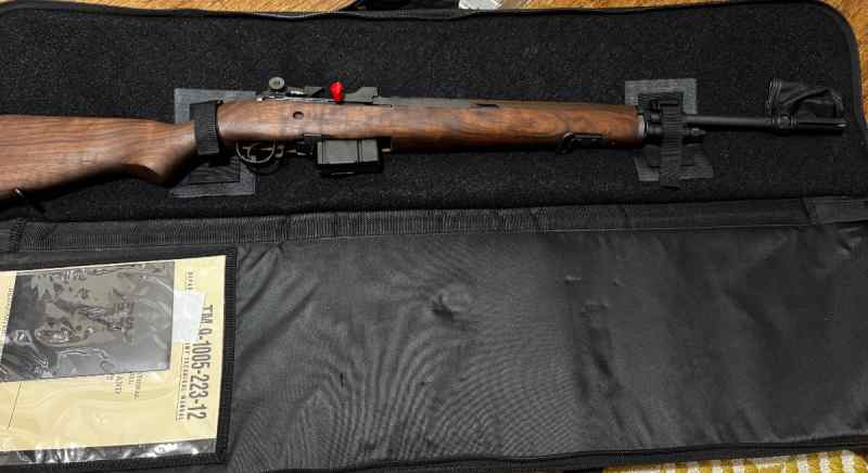 Springfield M1A Loaded