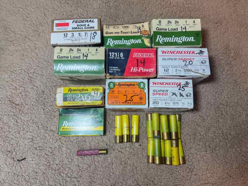 Shotgun shells-3.jpg