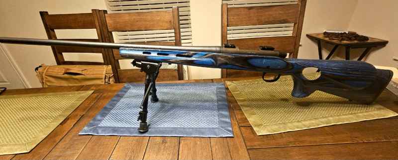 Remington 700 in .308