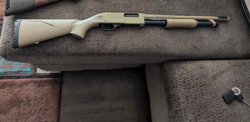 Winchester SPX 20ga 