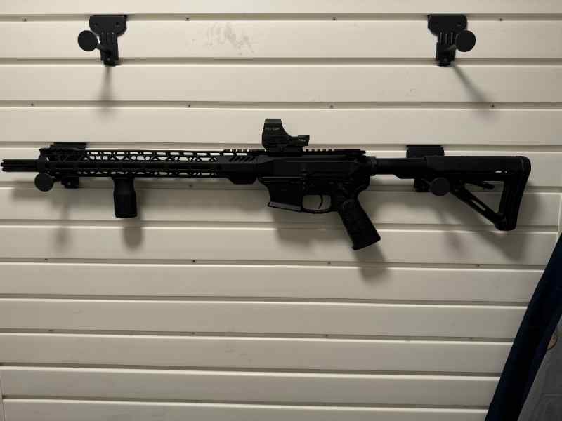 Palmetto State Armory AR-9 (With Holosun HS510C)