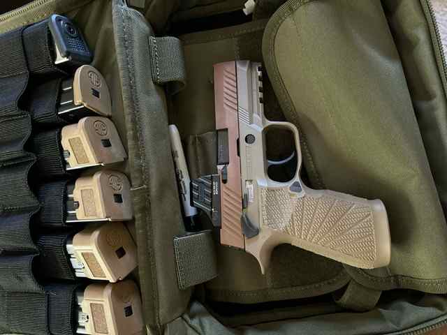 SIG m18, Wilson Combat lower, Holosun SCS320