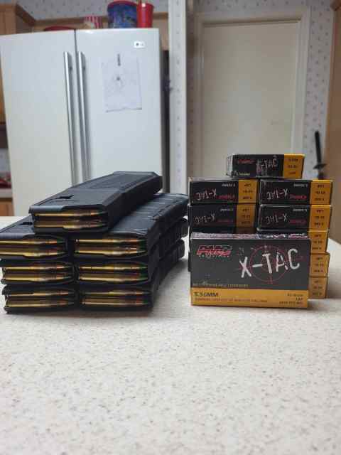 1 DD 30rd, 6 30rd PMAGs, 450rds of 5.56mm