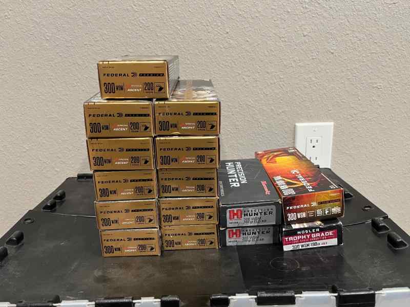*300 WSM AMMO*