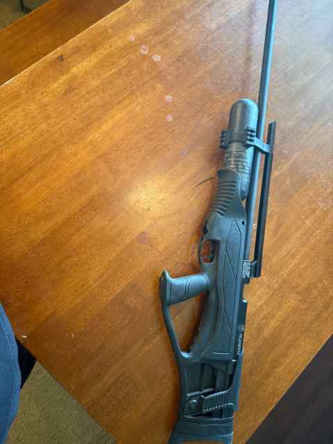 50 Cal Hog-Deer hunting PCP Air rifle