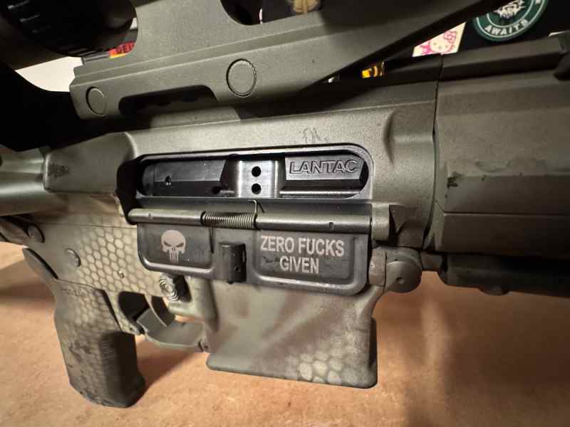 Custom DMR in 5.56