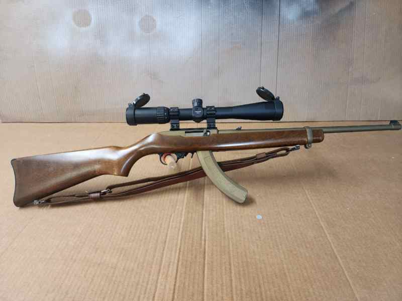 Ruger 10/22