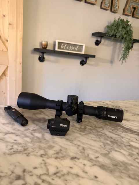 Steiner Scope &amp; Sig Red Dot
