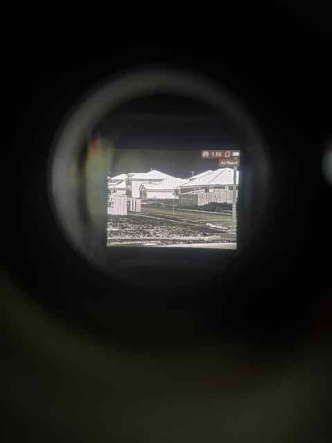 IMG_5196.jpeg